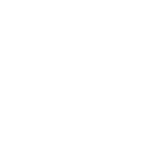 TotemSayer